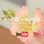 Pinker Hibiskus aus Blütenpaste modellieren lernst du auf meinem YouTube Kanal