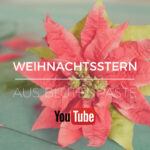 Weihnachtsstern aus Blütenpaste - Anleitung für Poinsettia aus Blütenpaste